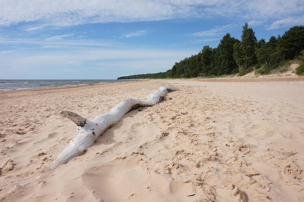baltic-sea-beach